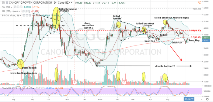 Cgc investorplace canopy