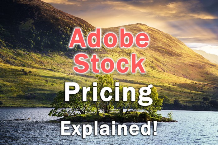 Adbe stock price