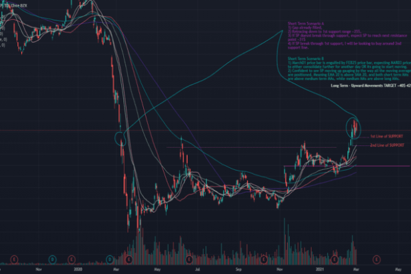 Ccl stock price