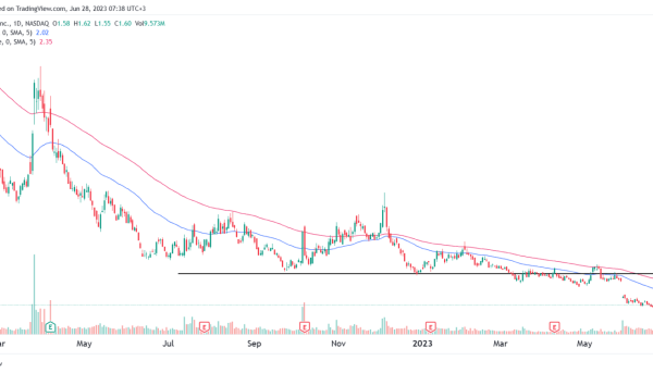 Tilray stock price