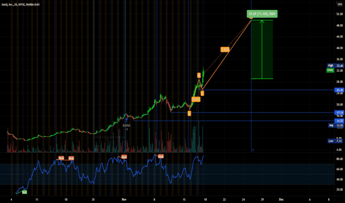 Ionq stock price